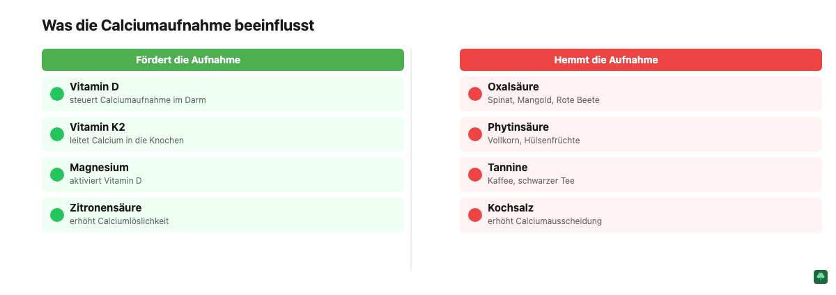 Zwei-Spalten-Grafik: Was die Calciumaufnahme fördert und was sie hemmt