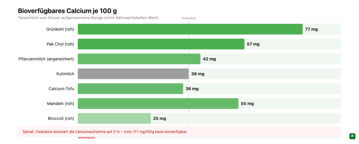 Balkendiagramm: Bioverfügbares Calcium in mg pro 100g verschiedener Lebensmittel im Vergleich