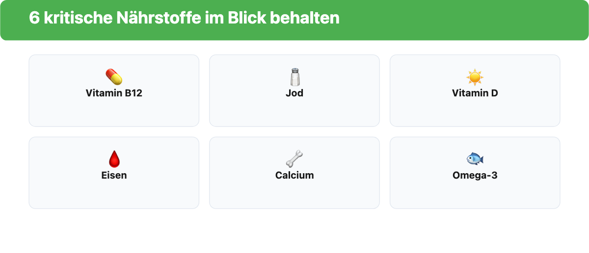 Icon-Raster mit den sechs kritischen Nährstoffen bei veganer Ernährung: B12, Jod, Vitamin D, Eisen, Calcium, Omega-3
