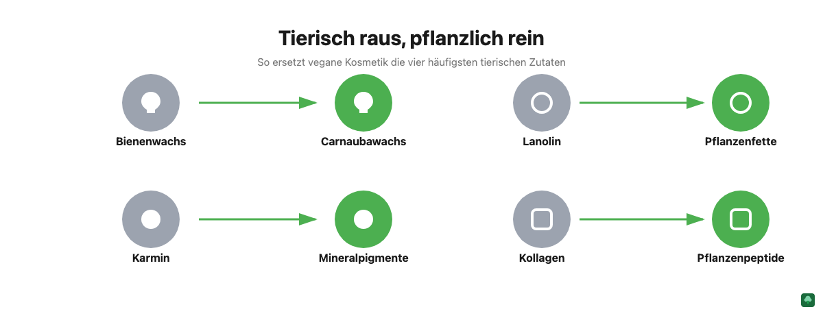 Grafik zeigt vier tierische Kosmetik-Inhaltsstoffe und ihre pflanzlichen veganen Alternativen