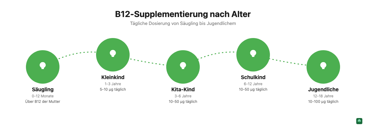 Infografik: Vitamin-B12-Supplementierung nach Altersgruppe von Säugling bis Jugendlichem