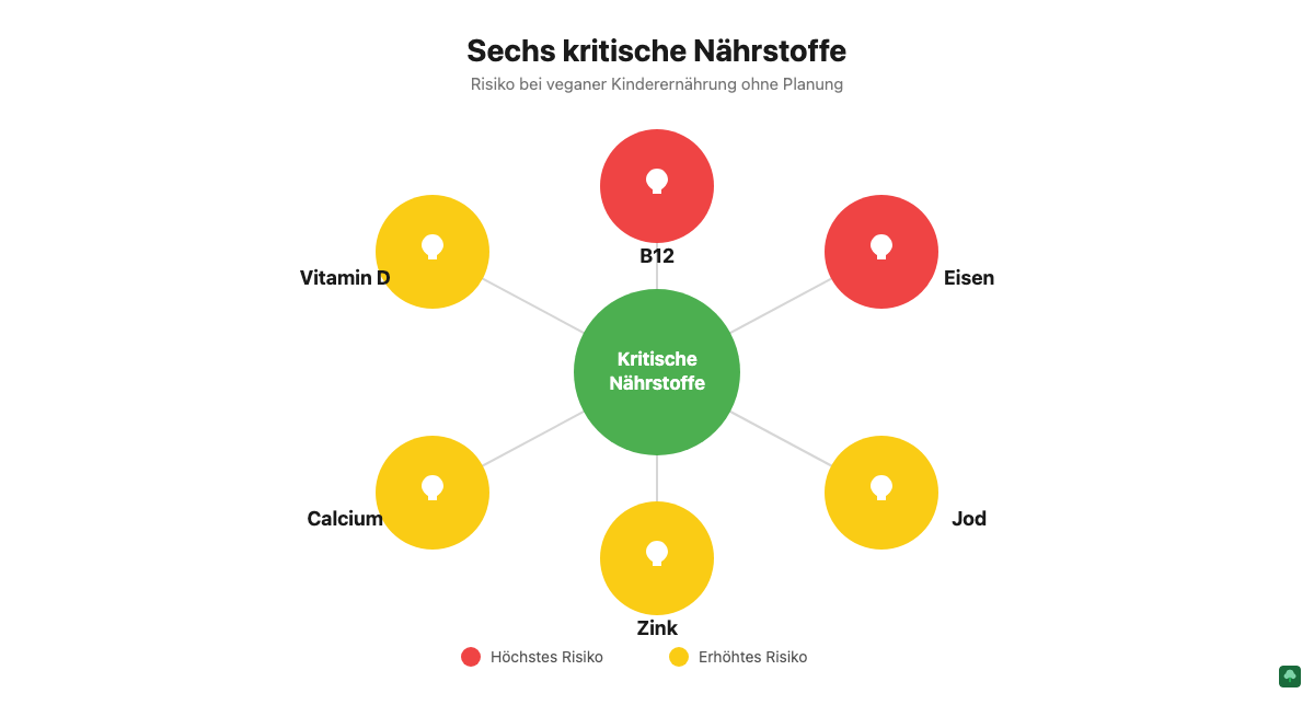 Infografik: Sechs kritische Nährstoffe bei veganer Kinderernährung mit Risikostufen für B12, Eisen, Jod, Zink, Calcium und Vitamin D