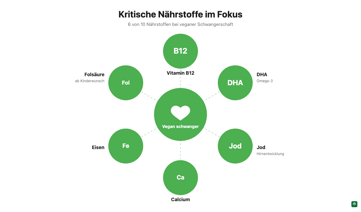 Die wichtigsten kritischen Nährstoffe für vegane Schwangere: B12, DHA, Jod, Folsäure, Eisen, Calcium