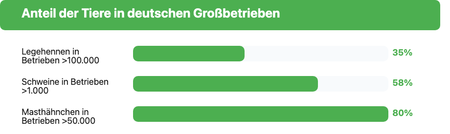 Balkendiagramm: Anteil der Tiere in deutschen Großbetrieben – Legehennen 35 %, Schweine 58 %, Masthähnchen 80 %