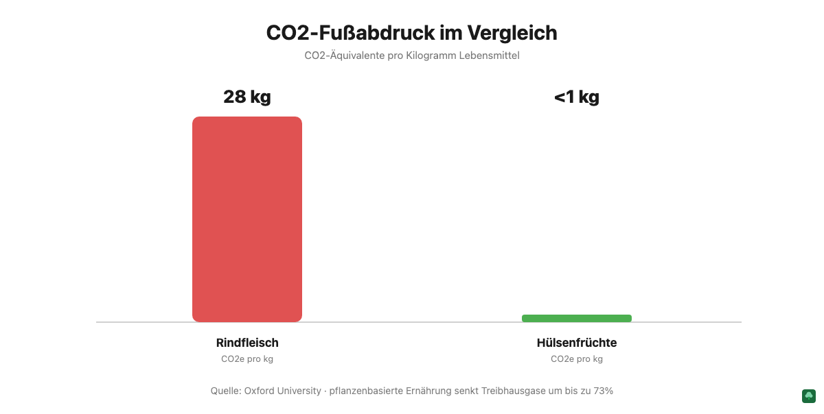 CO2-Fußabdruck im Vergleich: Rindfleisch verursacht 28 Kilogramm CO2-Äquivalente pro Kilogramm, Hülsenfrüchte unter 1 Kilogramm