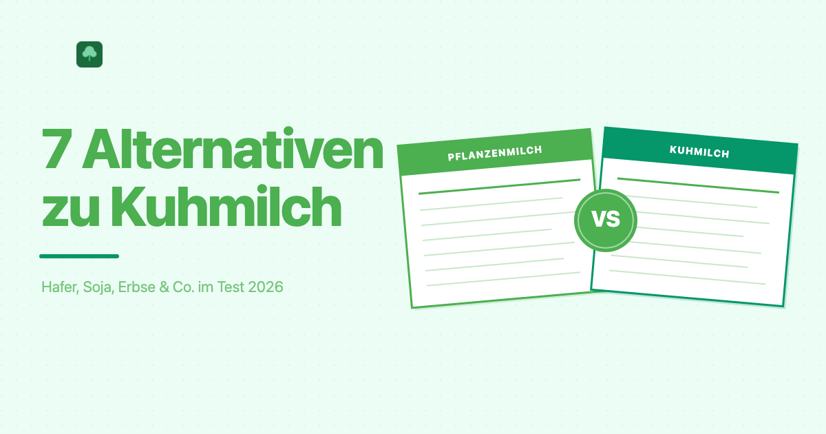 Die 7 besten pflanzlichen Alternativen zu Kuhmilch im Vergleich: Hafer, Soja, Erbse und Co.