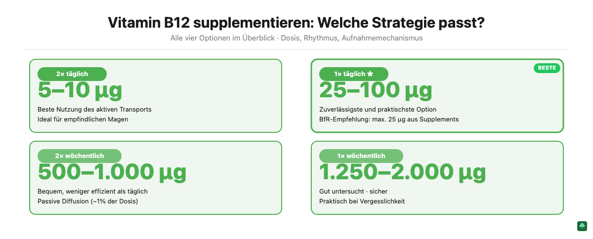 Vitamin B12 Dosierung und Einnahmefrequenz für Veganer: 4 Optionen im Überblick