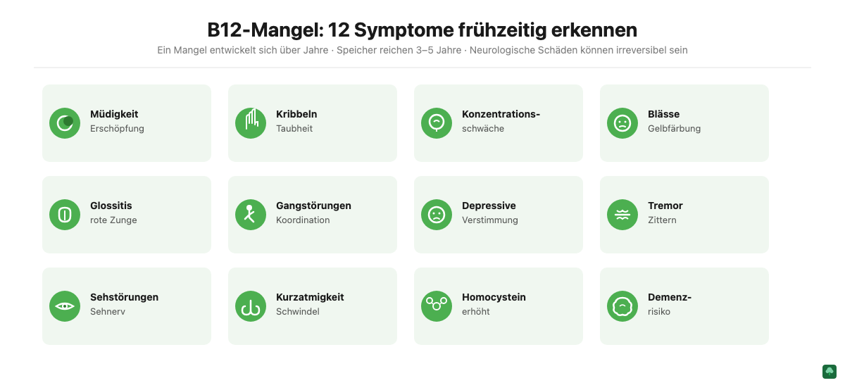 Vitamin B12-Mangel Symptome: 12 Anzeichen eines Mangels im Überblick